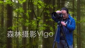 商场购物狂欢